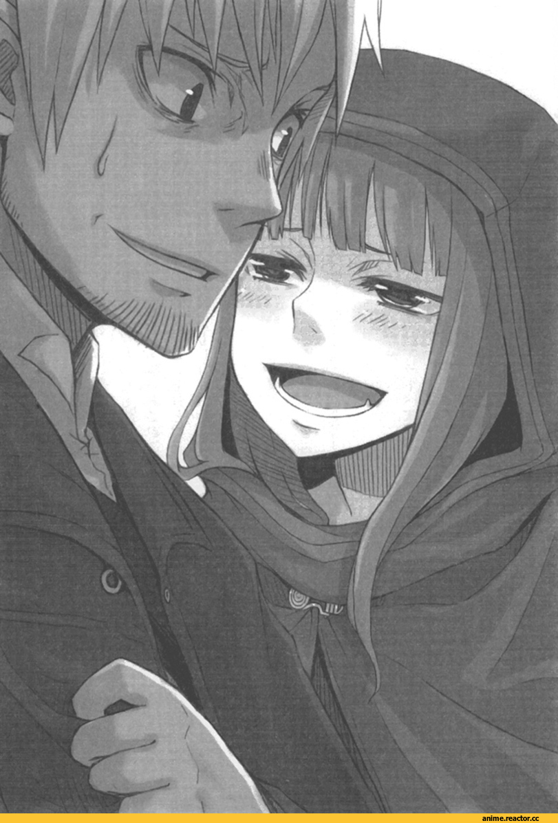 Spice and Wolf, Inumimi, Animal Ears, Horo, lite novel, Kraft Lawrence, Anime