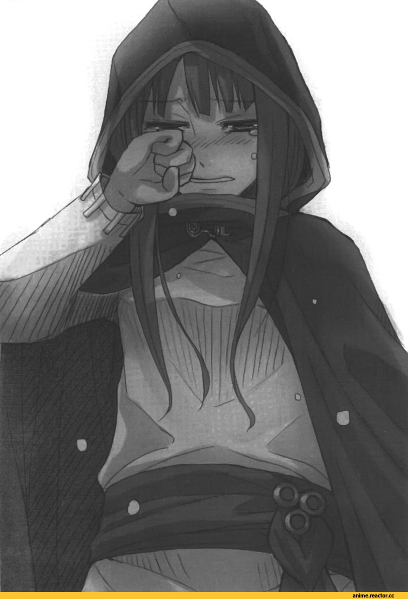 Spice and Wolf, Inumimi, Animal Ears, art красивые картинки, Horo, lite novel, Anime