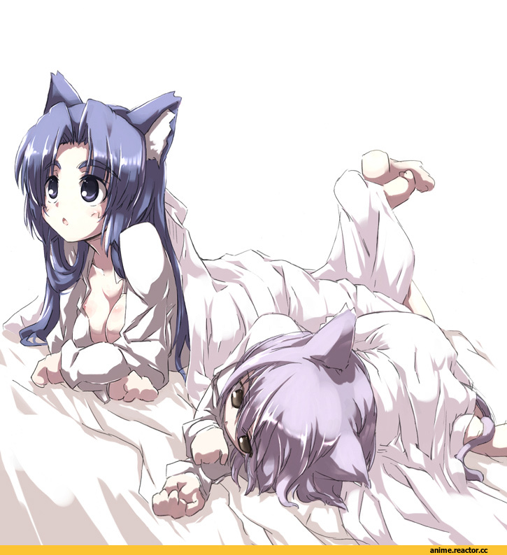 Nagato Yuki, Меланхолия Харухи Судзумии, asakura ryouko, Неко, Animal Ears, Anime
