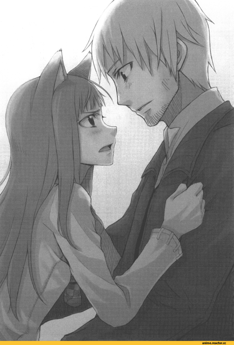 Spice and Wolf, Inumimi, Animal Ears, Horo, lite novel, Kraft Lawrence, Anime