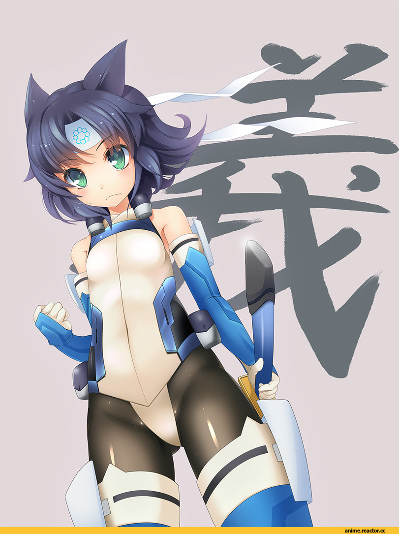 Satomi Yoshiyasu, Kyoukai Senjou no Horizo, Animal Ears, Anime