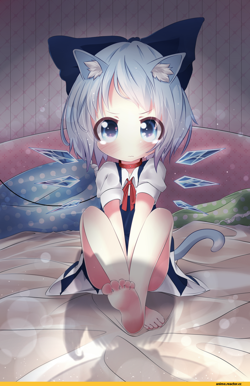 Cirno, Touhou Project, neko, Animal Ears, Anime