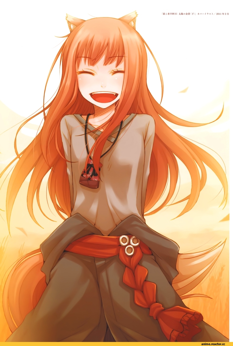Spice and Wolf, Inumimi, Animal Ears, Holo, art, красивые картинки, большие картинки, Кликабельно, Anime
