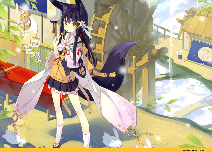 Animal Ears, Kitsune, Anime Original, Kuromitsu Nene, Poco, Anime