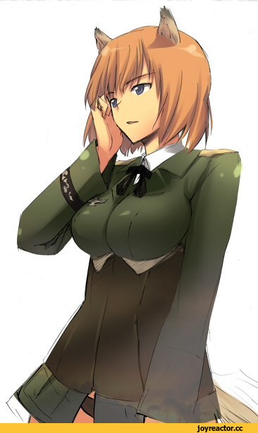 Strike Witches, Гундула Раль, Kitsune, Animal Ears, Anime