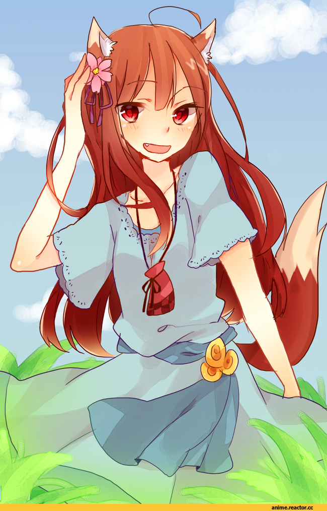 Horo, Spice and Wolf, Inumimi, Animal Ears, Anime Art, Anime