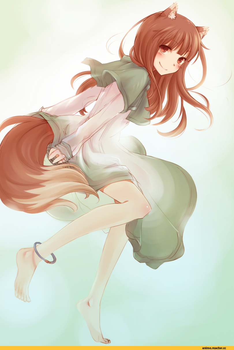 Spice and Wolf, Inumimi, Animal Ears, Holo, art, красивые картинки, Anime