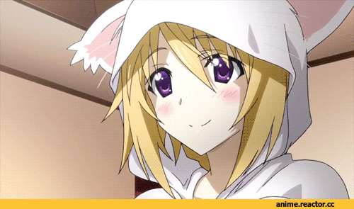 гифки, Infinite Stratos, charlotte dunois, Laura Bodewig, Anime Гифки, nekomimi, Animal Ears, Anime