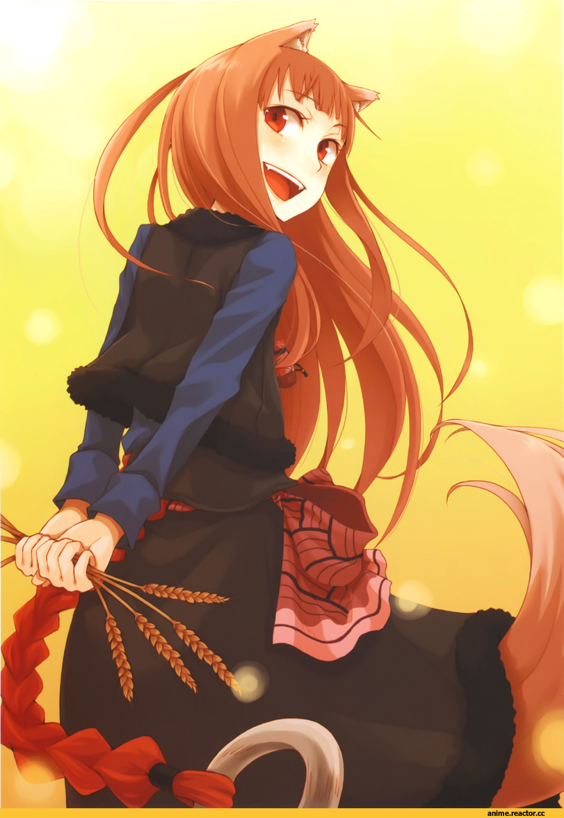 Spice and Wolf, Inumimi, Animal Ears, Holo, большие картинки, Кликабельно, Anime