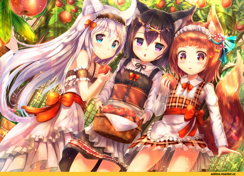 Anime Original, Animal Ears, neko, Kitsune, Anime