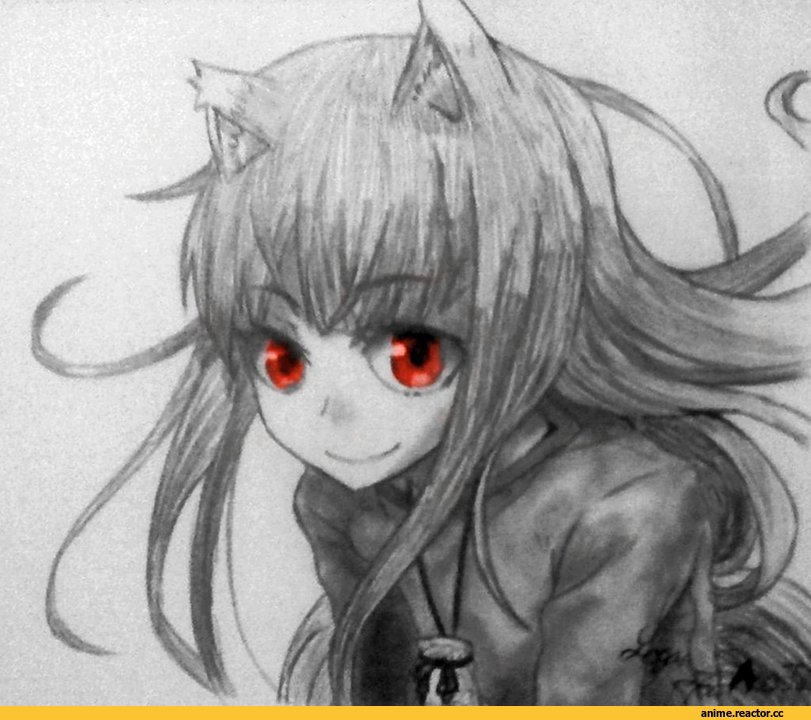 Horo, Spice and Wolf, Inumimi, Animal Ears, Anime