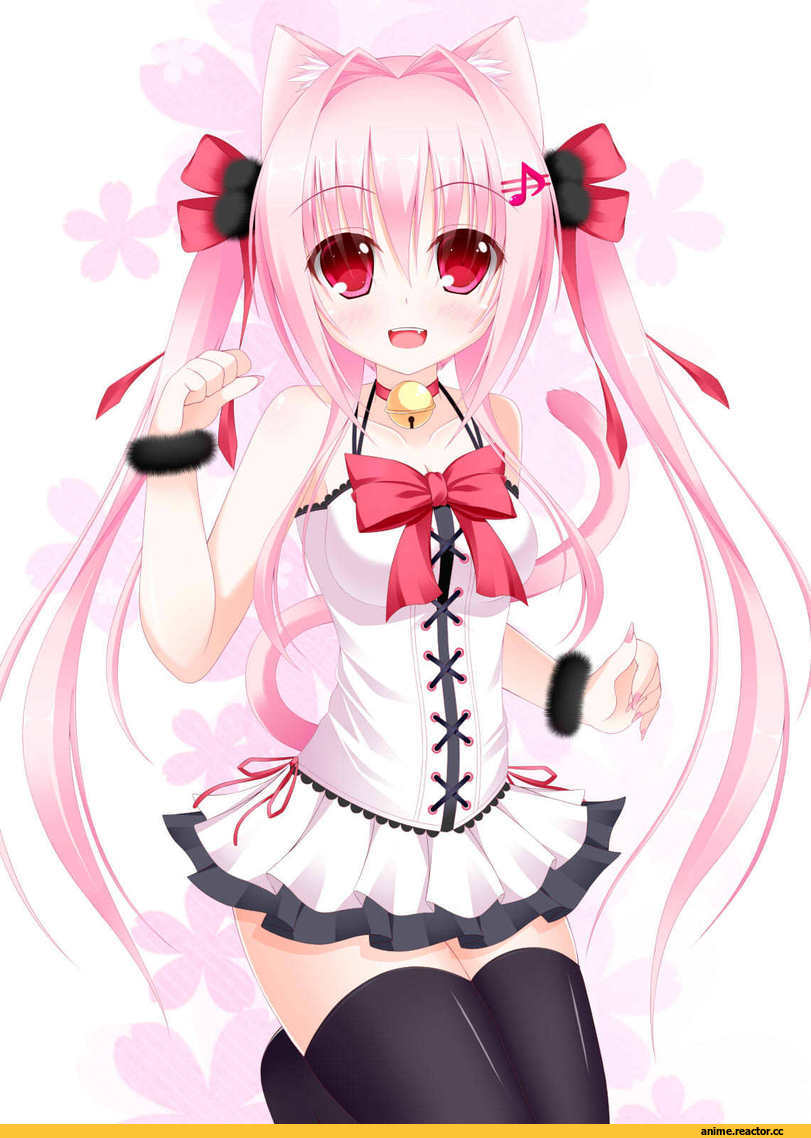 Animal Ears, Неко, Anime