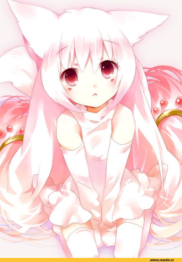 Animal Ears, neko, Anime