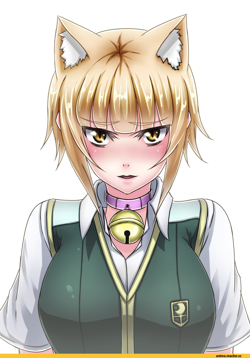 Witch Craft Works, kuraishi tanpopo, neko, Animal Ears, Anime