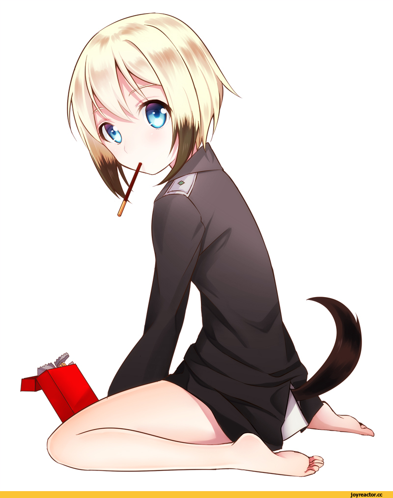 Animal Ears, Inumimi, Erica Hartmann, Strike Witches, Anime