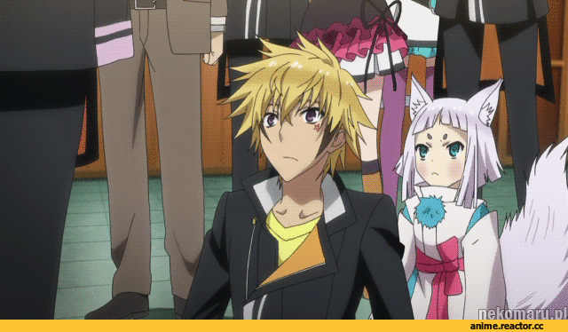 Tokyo Ravens, tsuchimikado harutora, kon, Animal Ears, Kitsunemimi, Anime Гифки, на случай важных переговоров, Anime