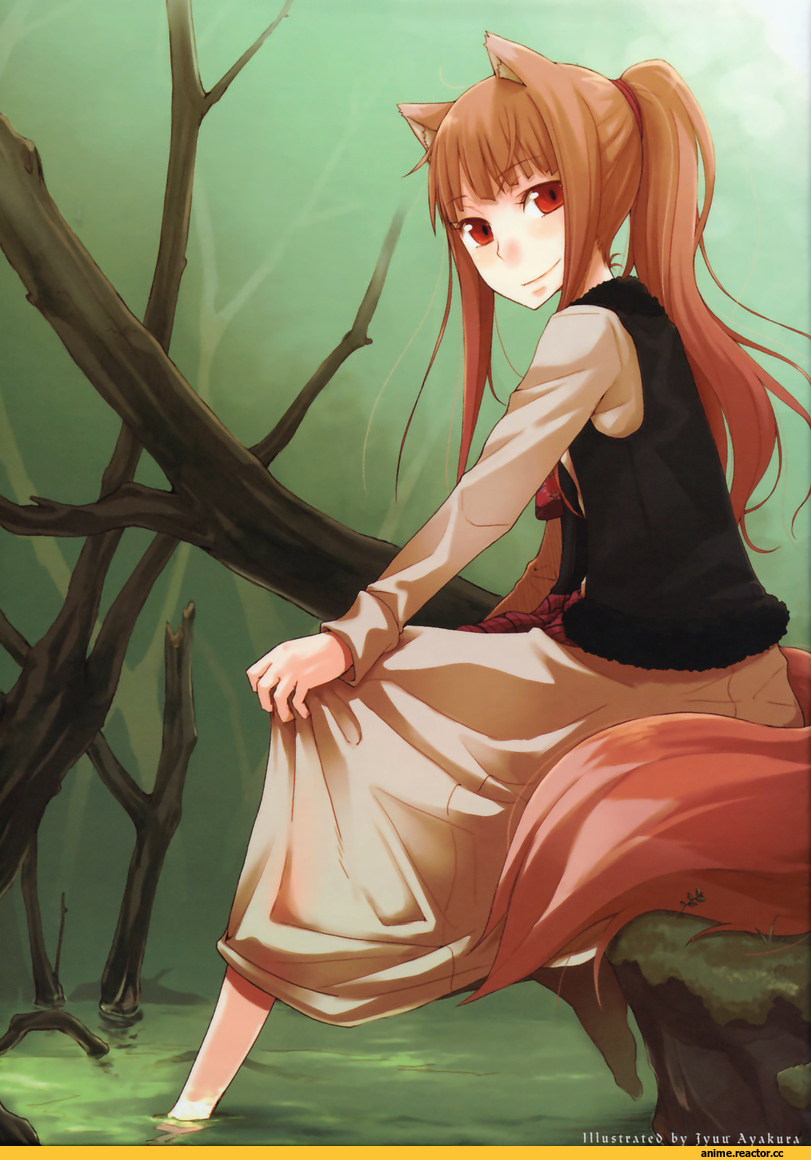 Holo, Spice and Wolf, Inumimi, Animal Ears, большие картинки, Кликабельно, Anime