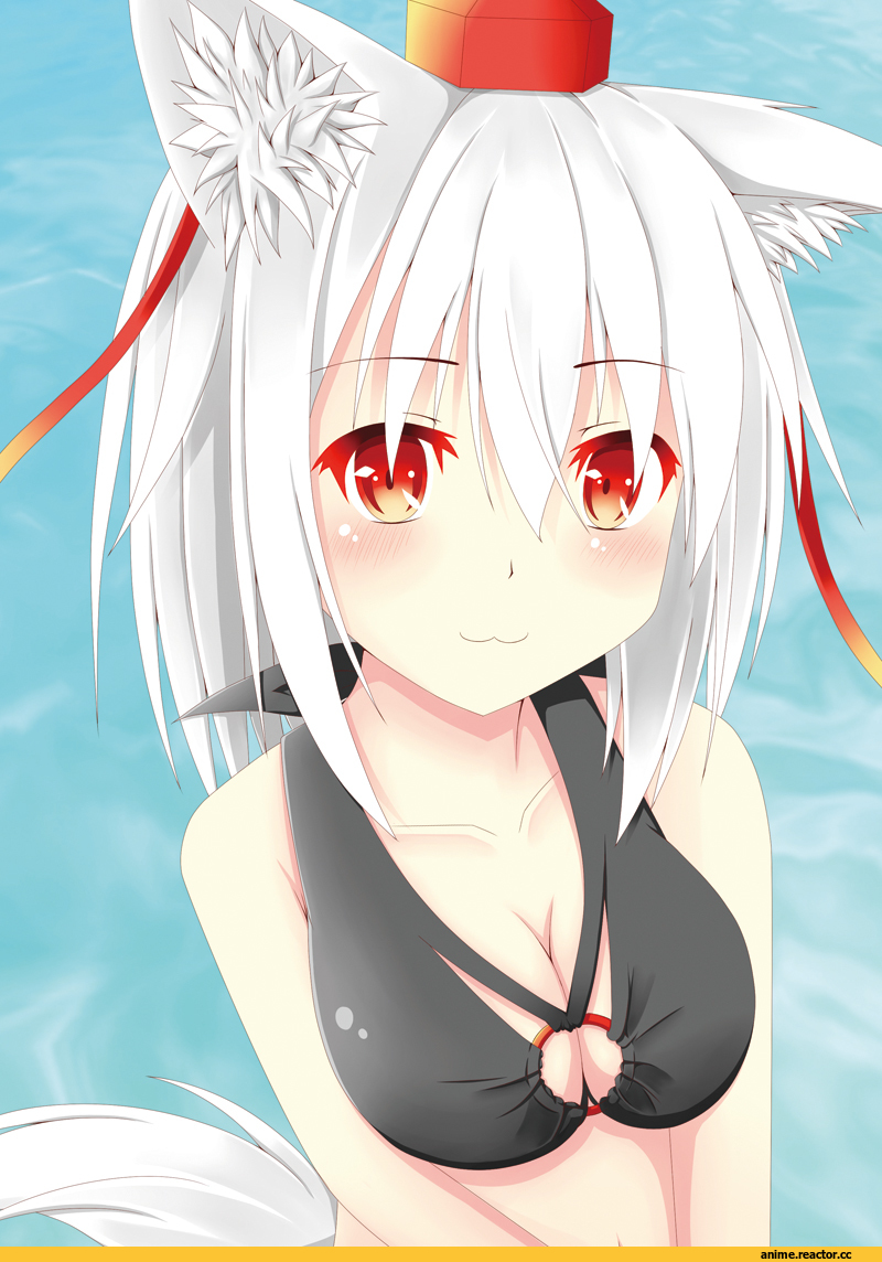 Inubashiri Momiji, Touhou Project, Animal Ears, Inumimi, Anime