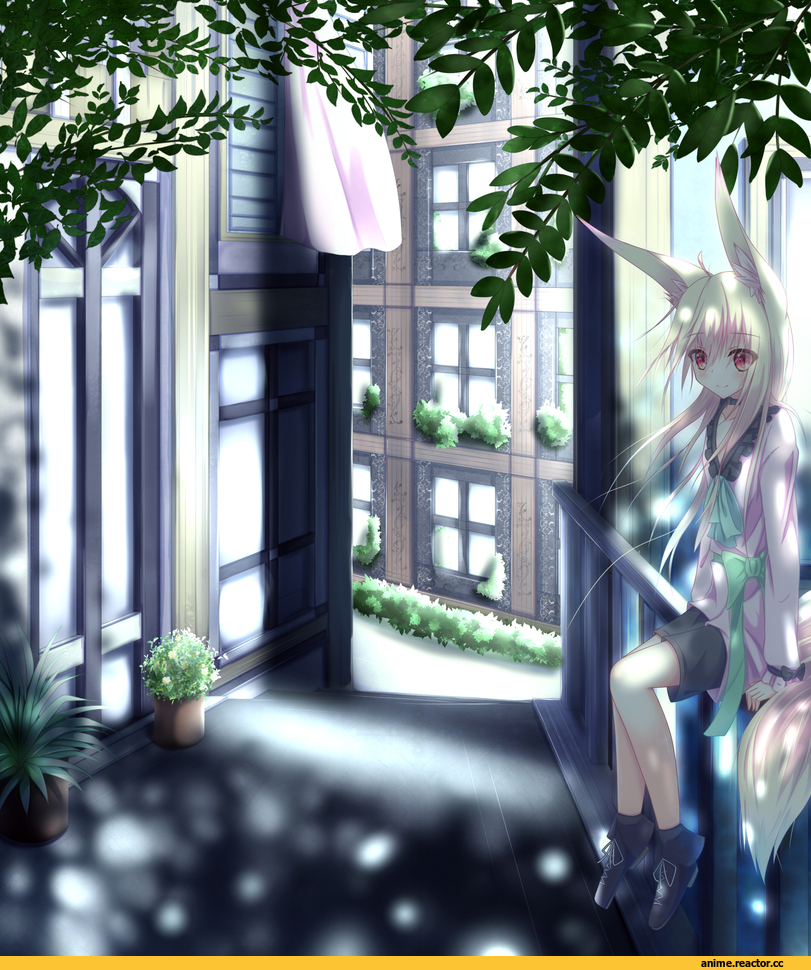 Anime Original, Animal Ears, Kitsune, Anime