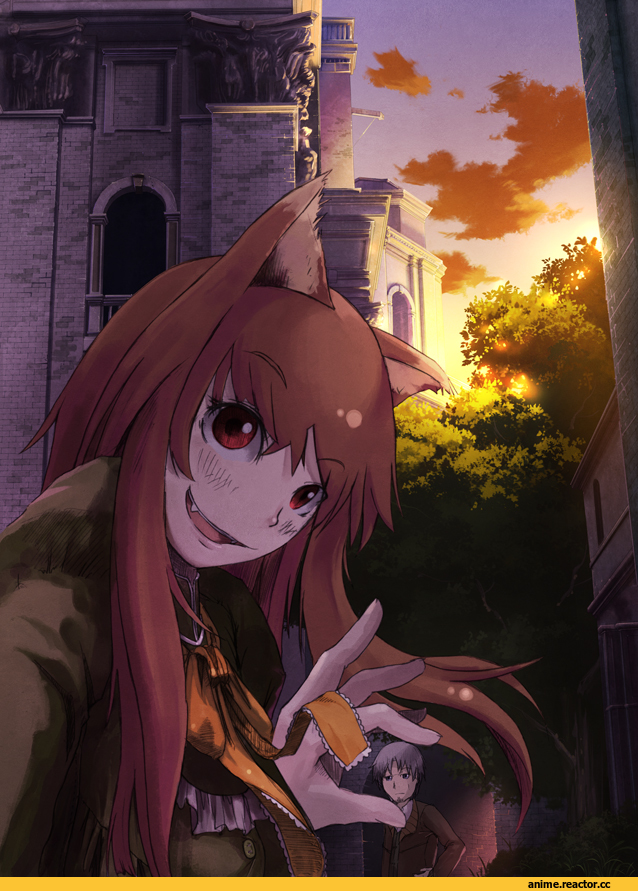 Holo, Spice and Wolf, Inumimi, Animal Ears, Kraft Lawrence, Anime
