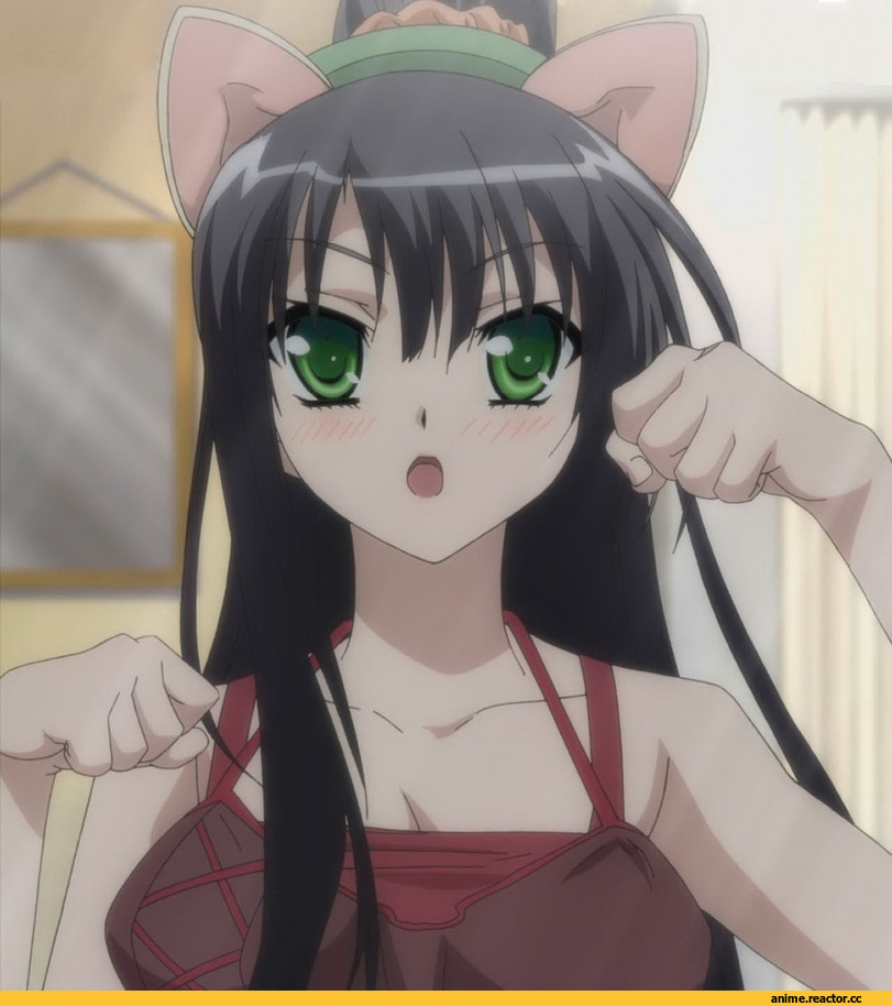 kore wa zombie desu ka?, Уж не зомби ли это?, nekomimi, Animal Ears, Anime