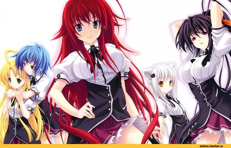 Highschool DxD, Asia Argento, himejima akeno, Rias Gremory, Toujou Koneko, zenovia, Неко, Animal Ears, Anime