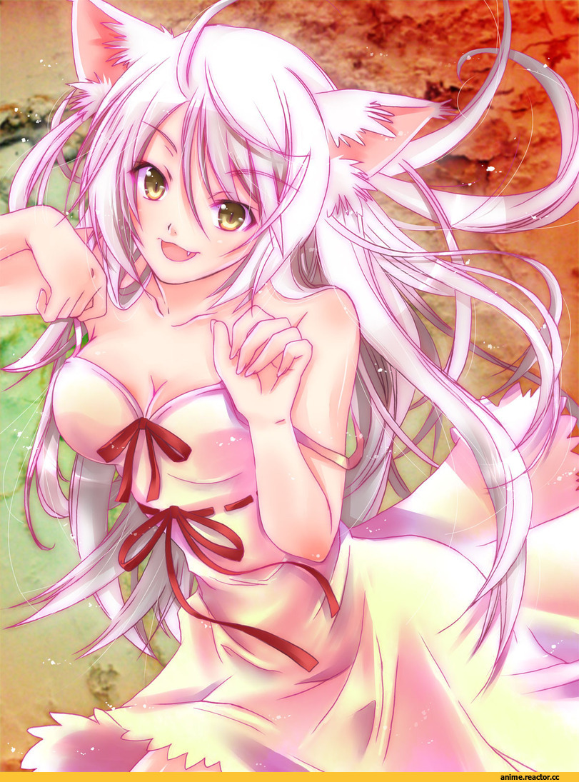 Monogatari (Series), Tsubasa Hanekawa, neko, Animal Ears, Anime