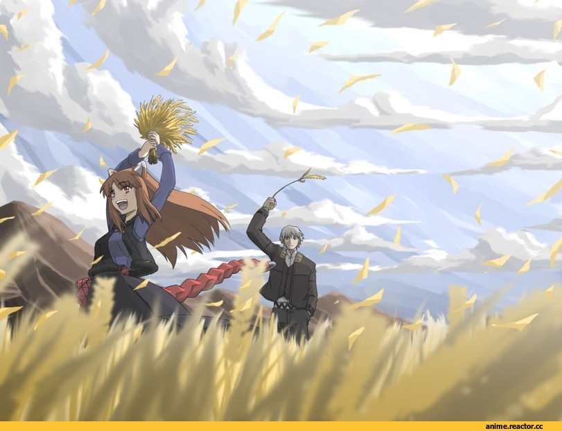 Horo, Spice and Wolf, Inumimi, Animal Ears, Kraft Lawrence, Anime