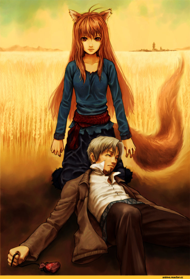 Holo, Spice and Wolf, Inumimi, Animal Ears, Kraft Lawrence, Anime