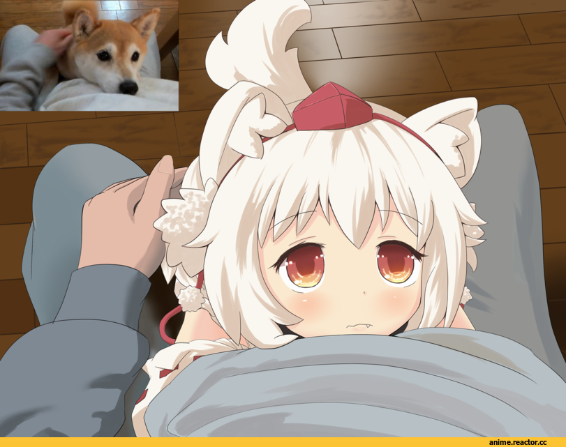 Touhou Project, Inubashiri Momiji, Inumimi, Animal Ears, Anime
