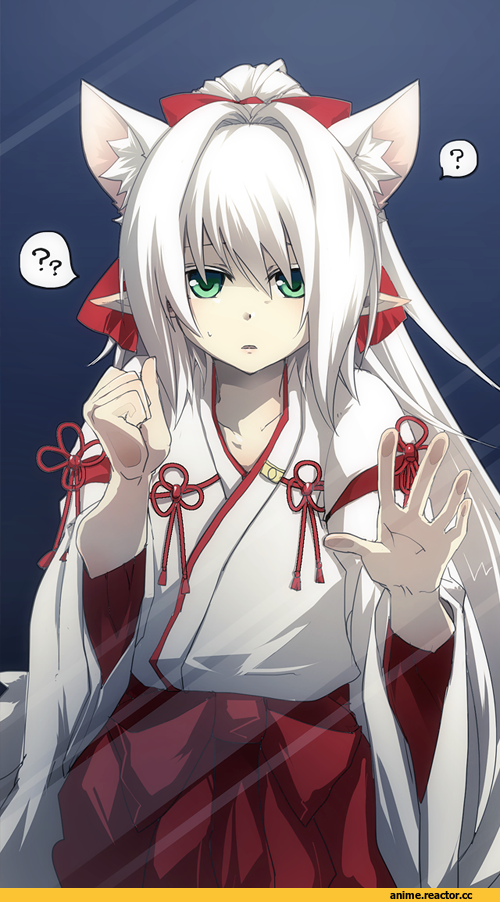 Phantasy Star Online 2, Animal Ears, Kitsune, Anime