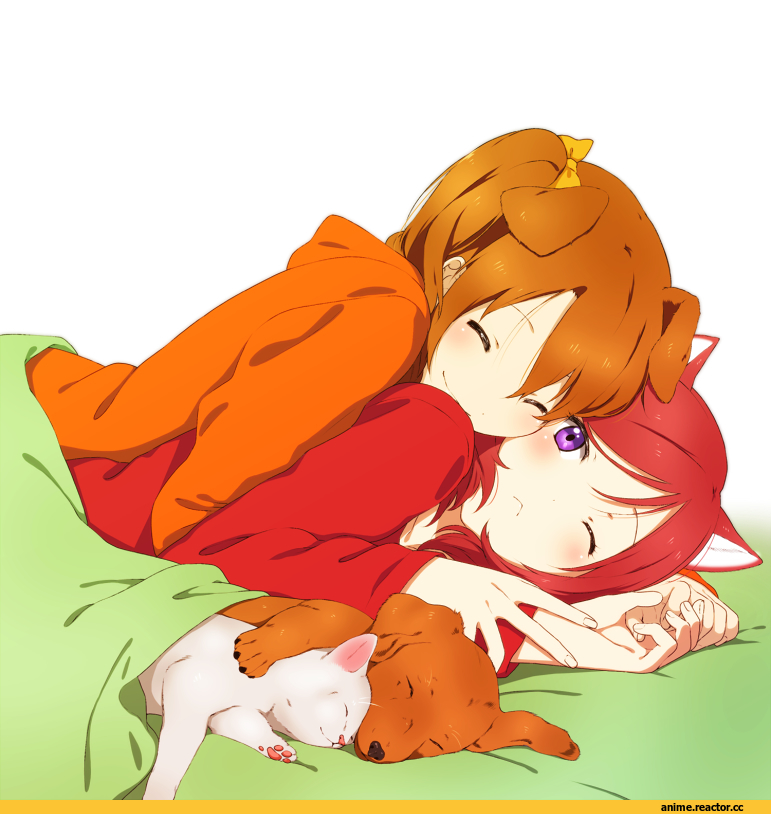 Inumimi, Animal Ears, nekomimi, kawaii, Anime