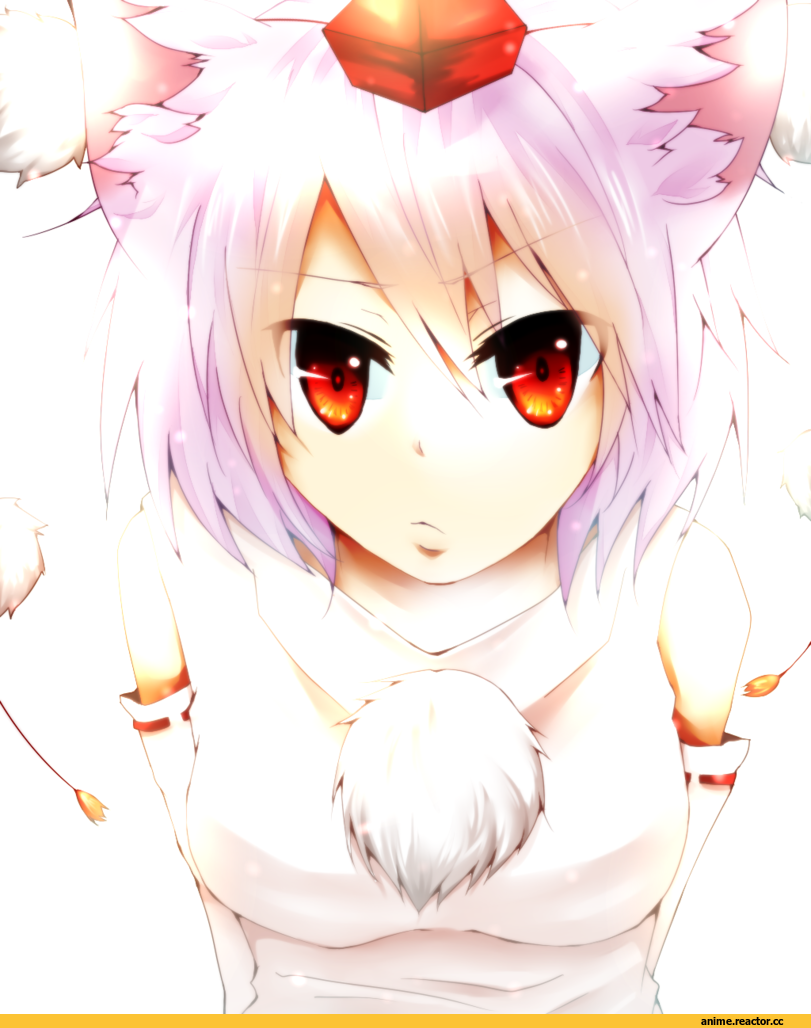 Animal Ears, Inubashiri Momiji, Touhou Project, Inumimi, Anime