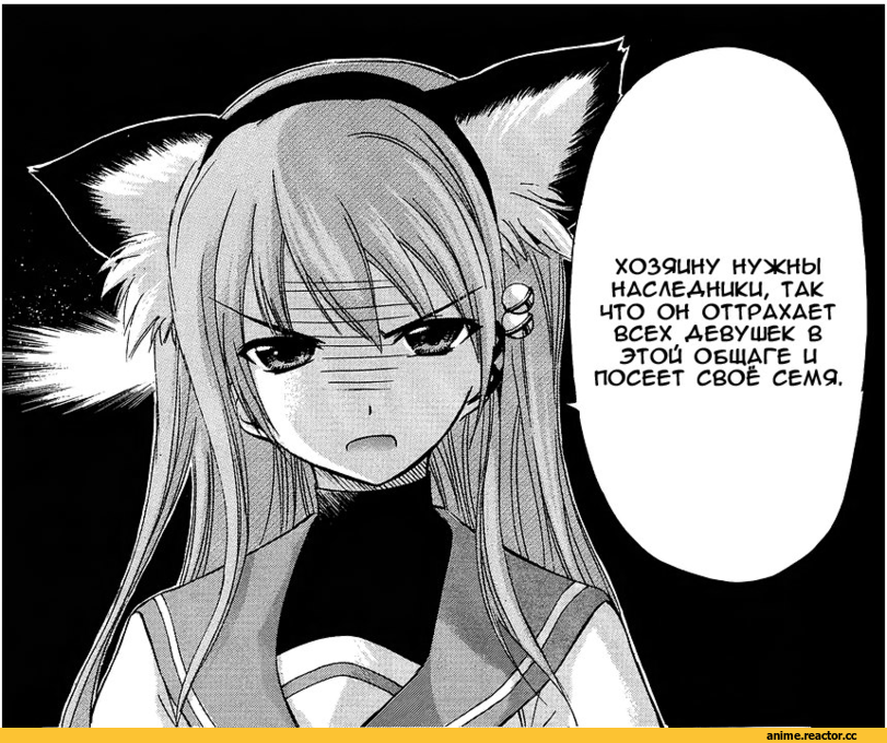 nekomimi, Animal Ears, аниме