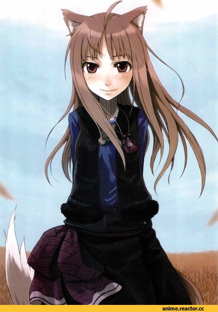 Horo, Spice and Wolf, Inumimi, Animal Ears, Anime