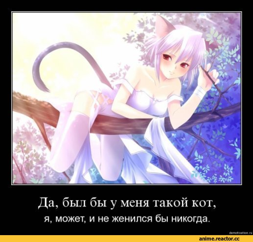 Неко, Animal Ears, приколы, Anime