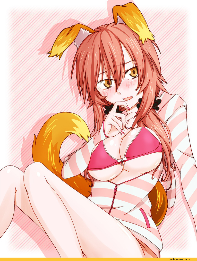 Fate/Extra, Caster (Fate/Extra), Animal Ears, Kitsune, Anime