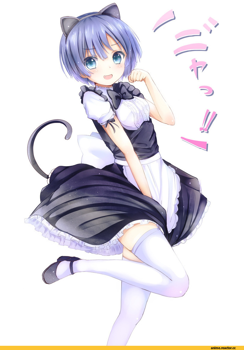 милота, Anime Art, Неко, Animal Ears, горничная, Anime