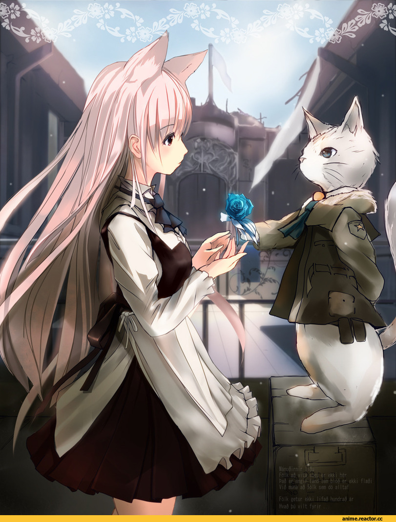Anime Original, Animal Ears, neko, Anime