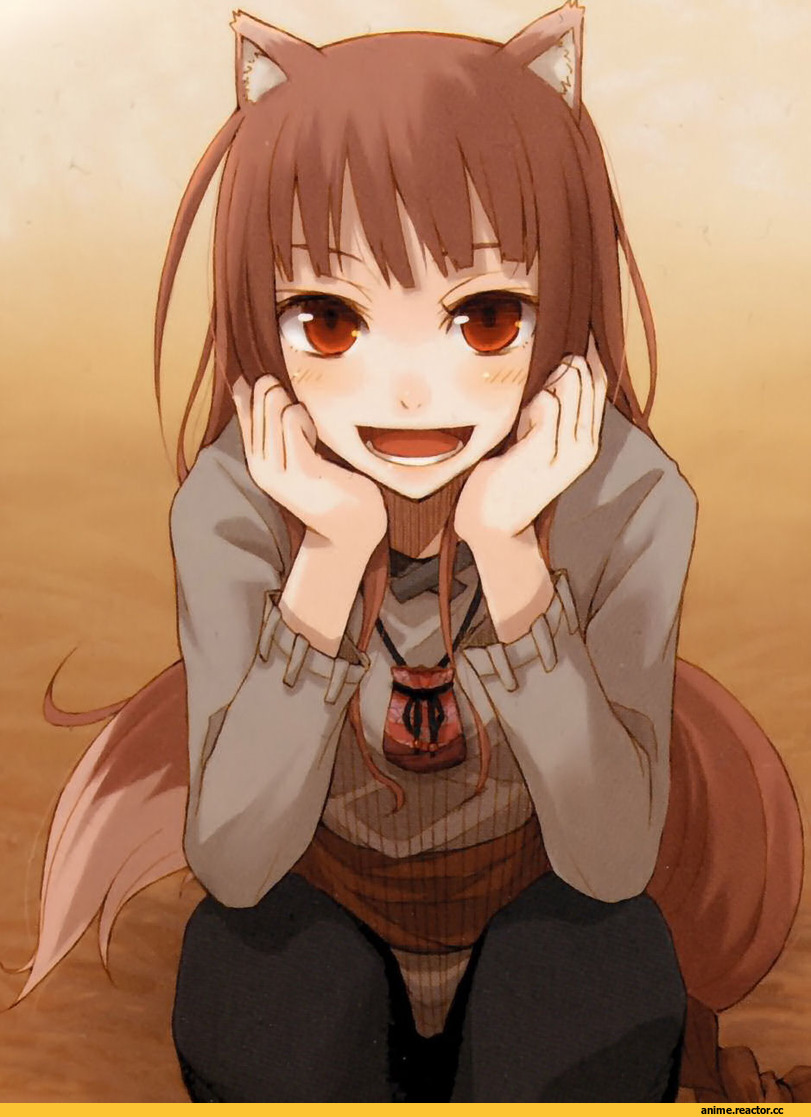 Holo, Spice and Wolf, Inumimi, Animal Ears, Anime