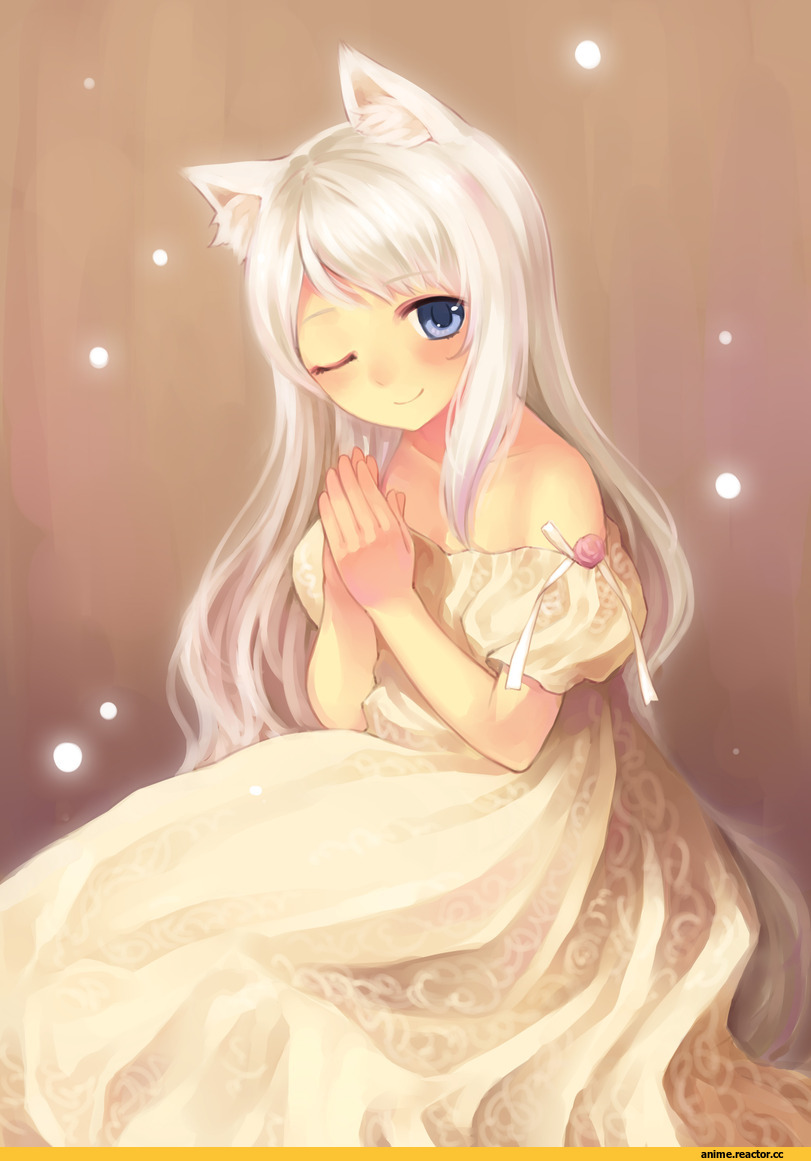 Anime Original, neko, Animal Ears, Anime