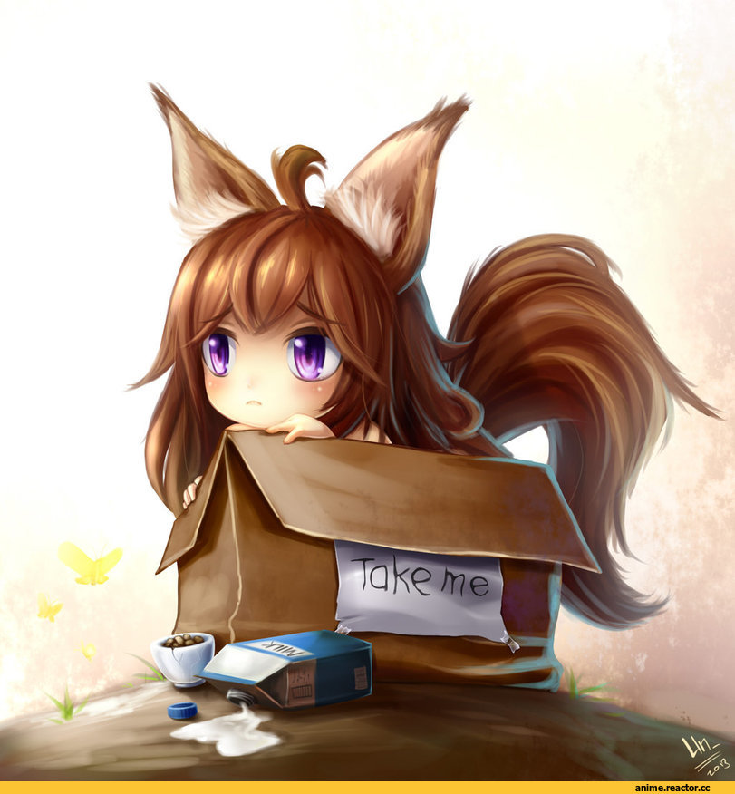 elin, Terra, Animal Ears, Kitsune, jurrig, Anime