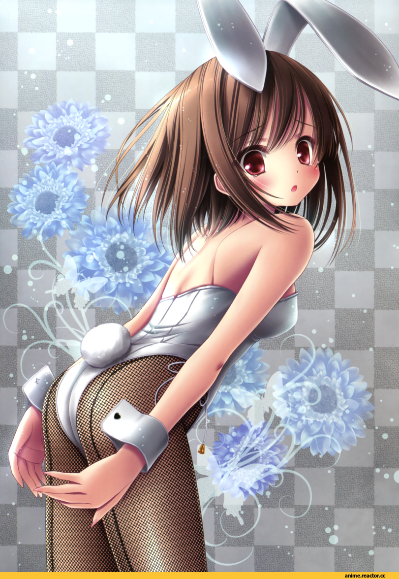ro-kyu-bu!, kashii airi, Usagimimi, Animal Ears, Anime