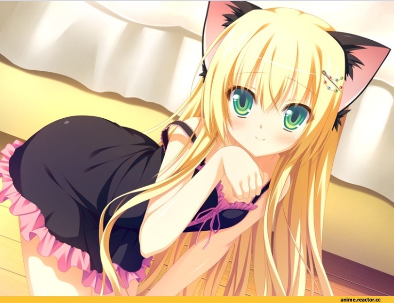nekomimi, Animal Ears, Anime