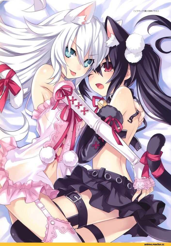 neko, Animal Ears, uni, Noire, Anime