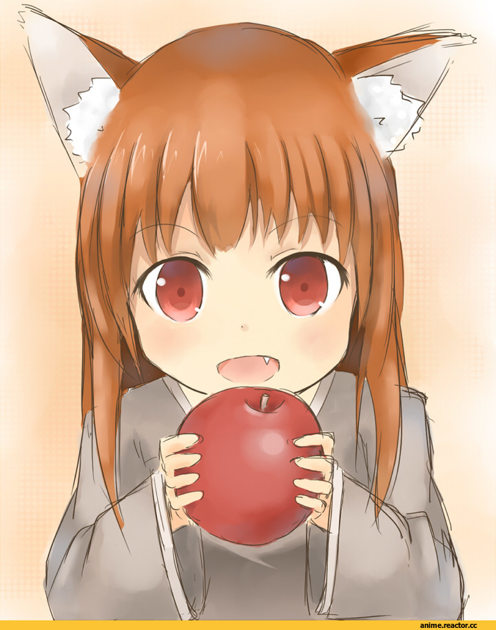 Horo, Spice and Wolf, Inumimi, Animal Ears, Anime