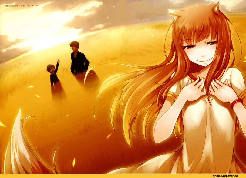 Spice and Wolf, Inumimi, Animal Ears, Horo, красивые картинки, art, hd, Anime