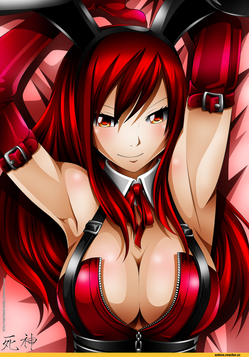 Erza Scarlet, Fairy Tail, Usagimimi, Animal Ears, Anime