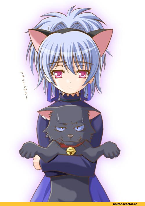 Darker than Black, Yin, mao, Неко, Animal Ears, Anime