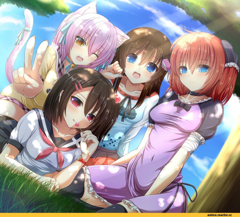 Anime Original, chiriko (atlanta), morinaga koeda, shia flatpaddy, takamine kokone, Неко, Animal Ears, Anime